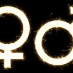 The Law of Gender – The Process of Creation in all Planes
