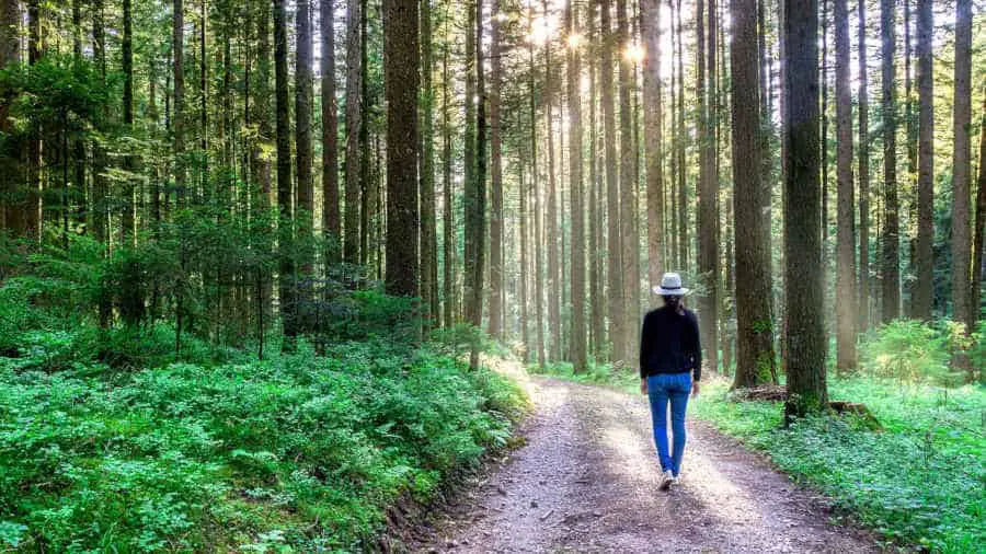 Walking Meditation