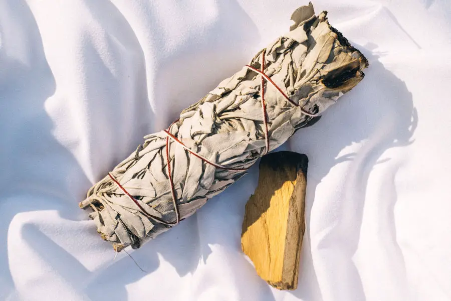 Everything You Need to Know About Burning Sage