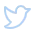 twitter-logo