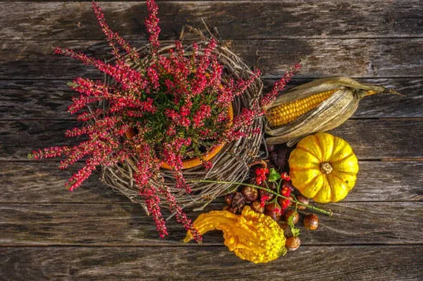 Samhain Traditions & Celebration
