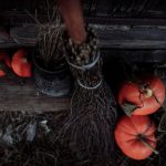 How to Celebrate Samhain (or Halloween) - Traditions and Symbols