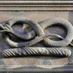 Serpent Symbolism Across Cultures