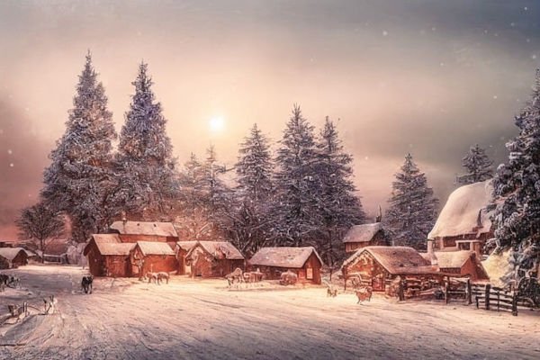 Are You a Yule Expert? 