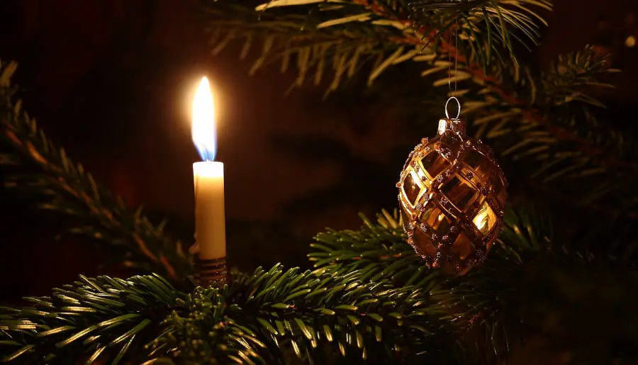 Yule traditions quiz