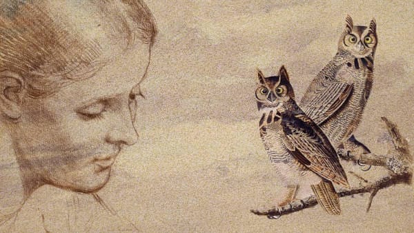woman-owl