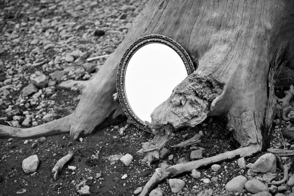 mirror in the woods-